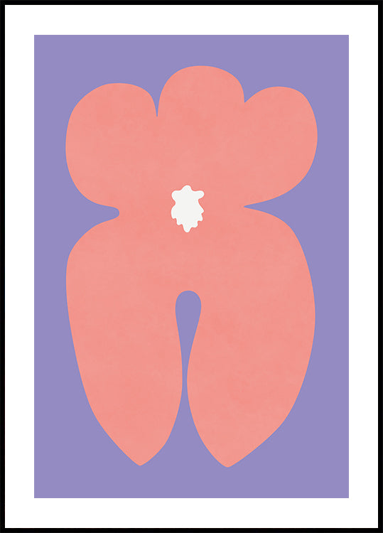 Pink Orchid Flower Poster