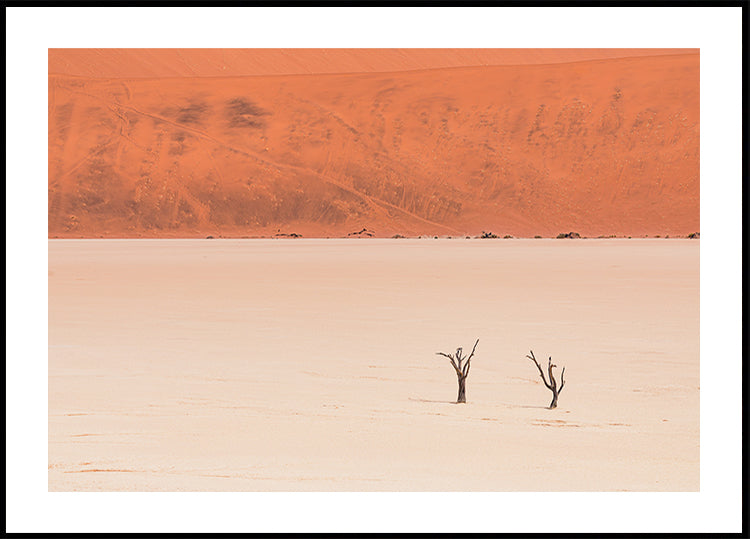 Desert's textures Poster