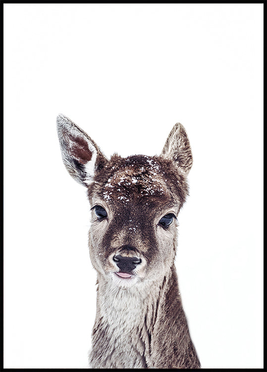 Little Fawn Fiona Poster