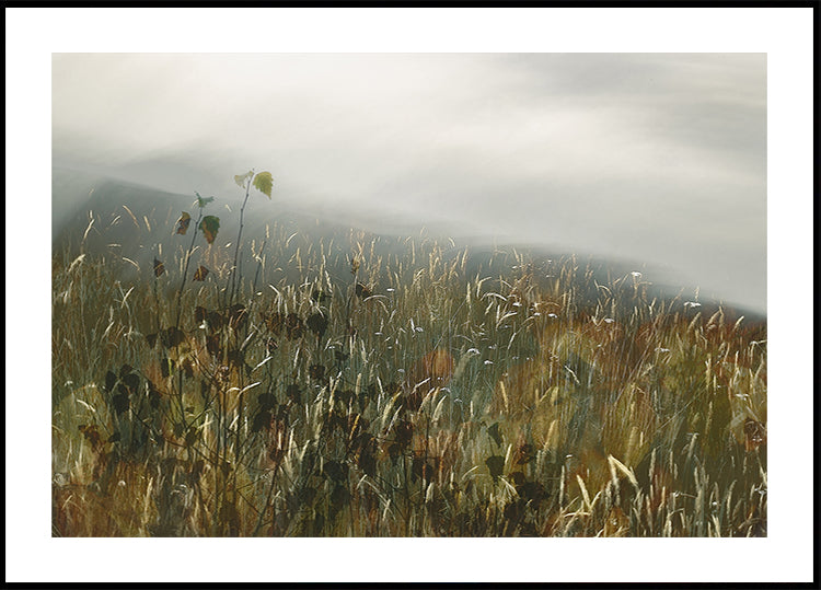 In the field Poster