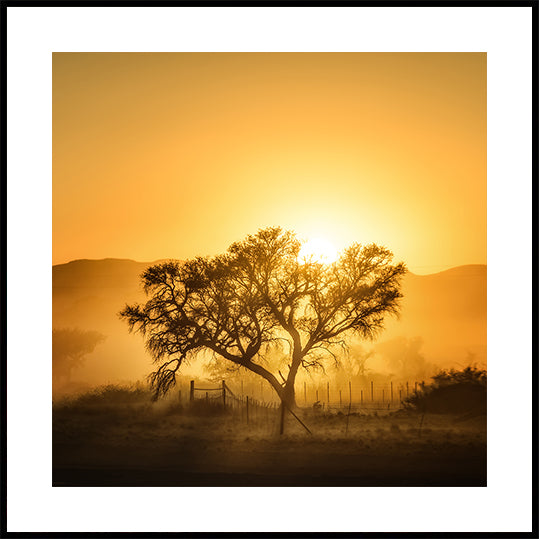 Golden Sunrise Poster