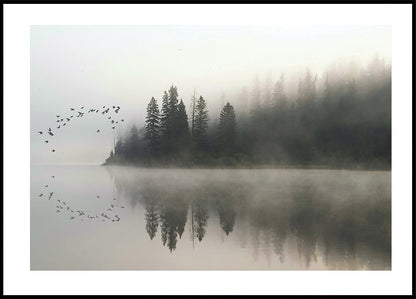 Birds In Nature Poster