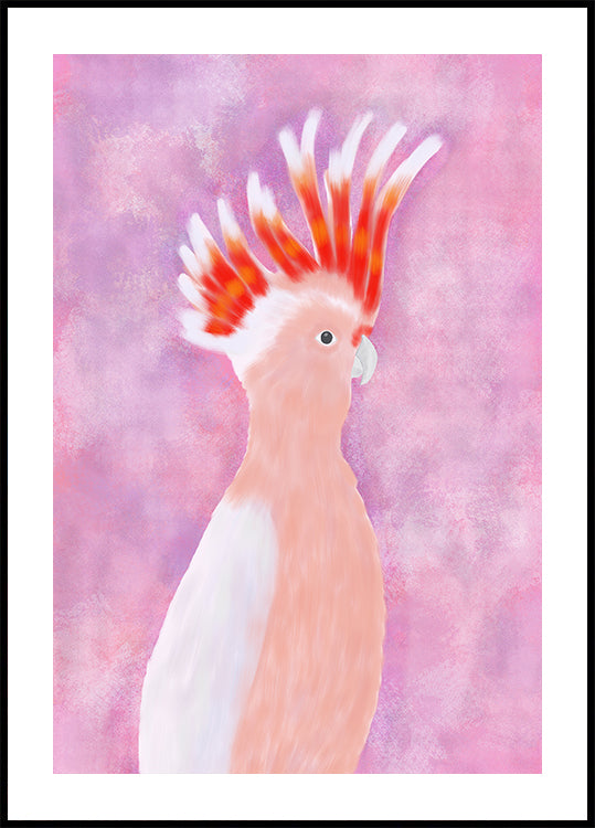 Pink Cocatoo Bird Poster