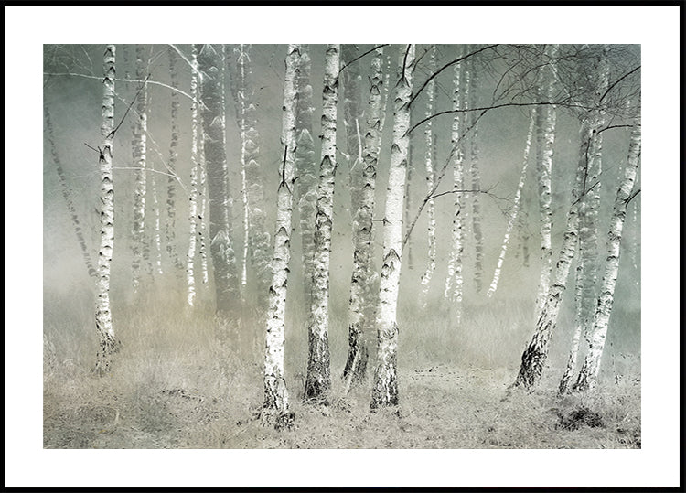Morning silence  Poster