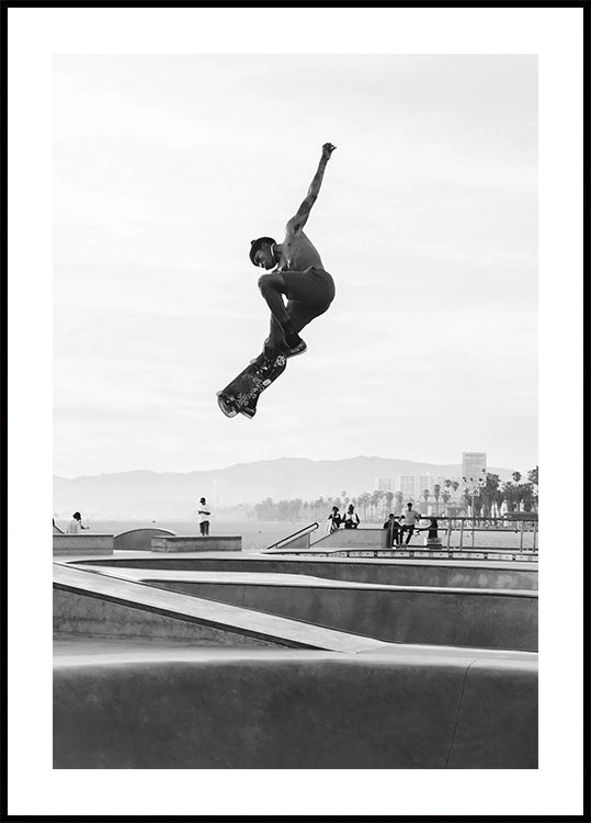 Skater Poster