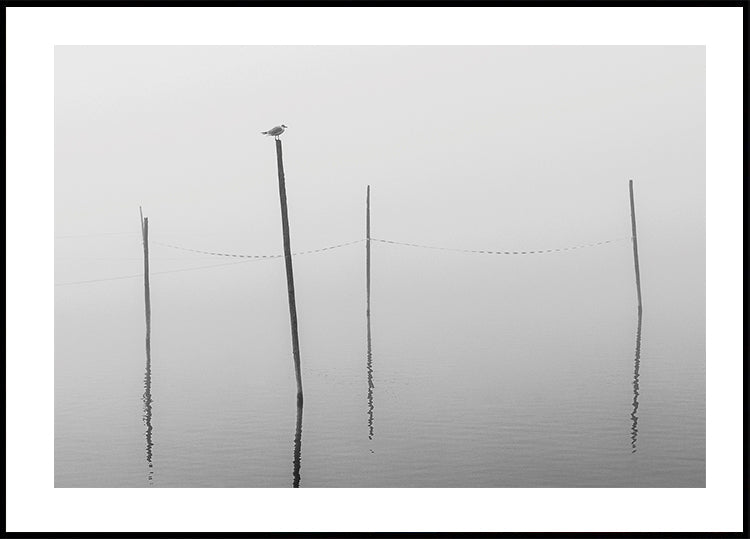 Misty Reflections in Black and White Poster