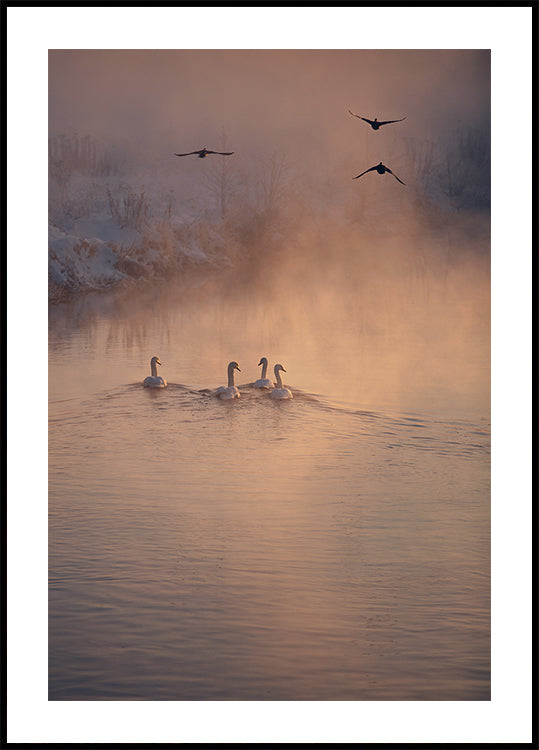 Where the Fog Didn’t Reach Poster