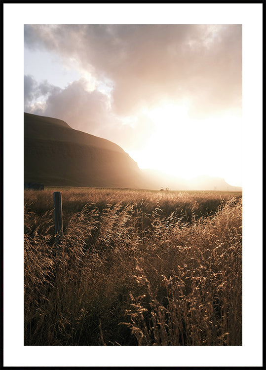 Autumn Sunset Over the Field Poster