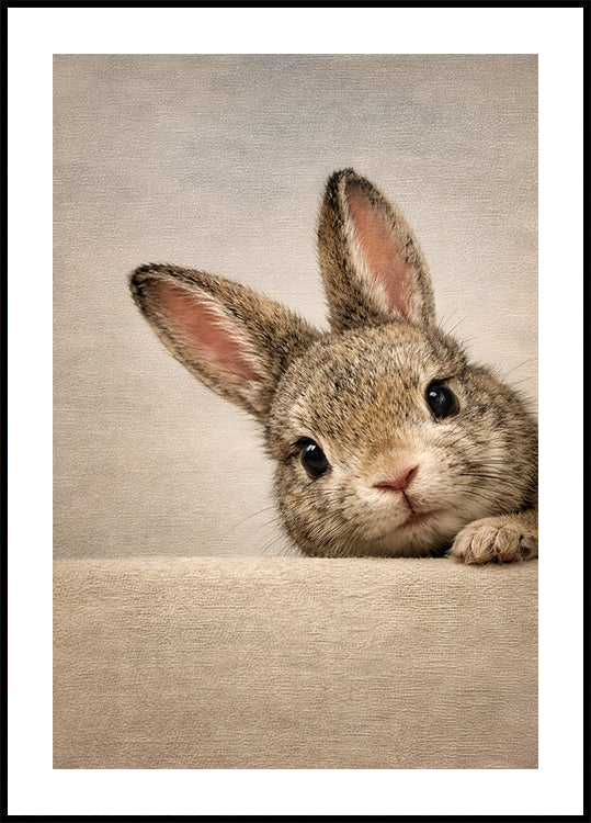 Peeking Bunny Wall Art – Vintage Rabbit Print, Animal Nursery, Farmhouse Rustic Decor Poster