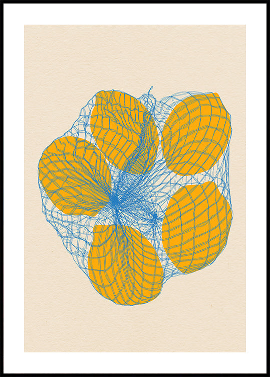 Five Lemons In a Net Bag