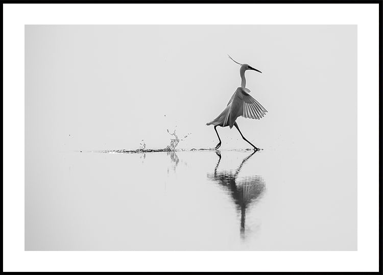 &quot;Dancing on the water&quot; Poster