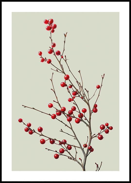 Red Berries on a Branch Poster