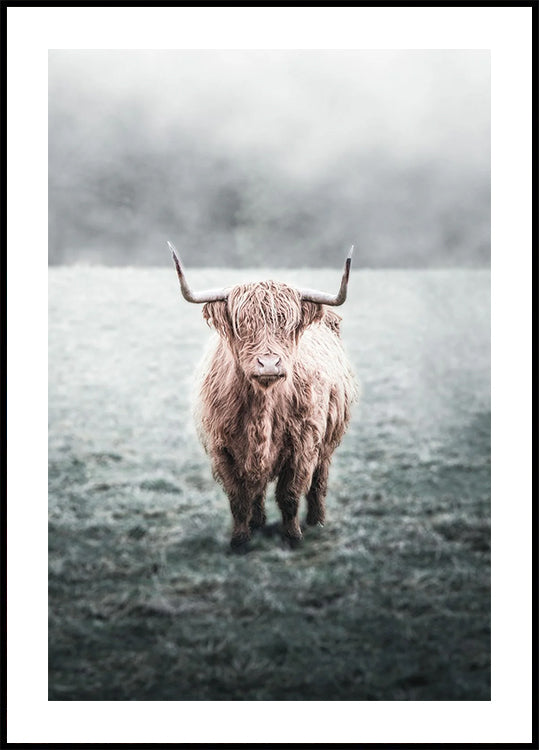 Majestic Highland Cow in Misty Field Poster