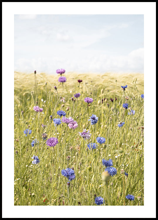 All the Wildflowers Poster