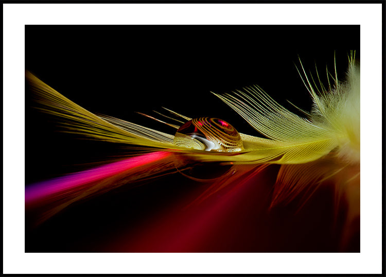 Colors in the drop Poster