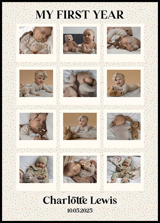Baby's First Year Personal Poster