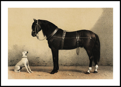 Emil Volkers - Orloffer Horse and Dog Poster