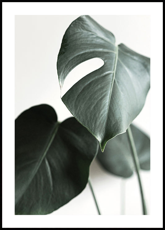 Green Plant №1 Poster