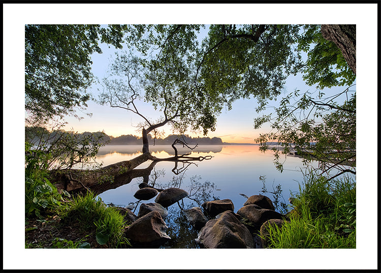 Lake view Poster