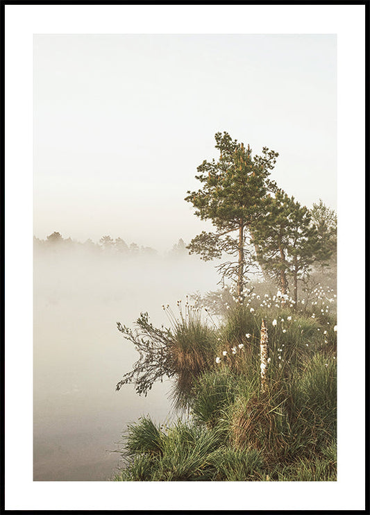 Foggy Summer Morning Poster