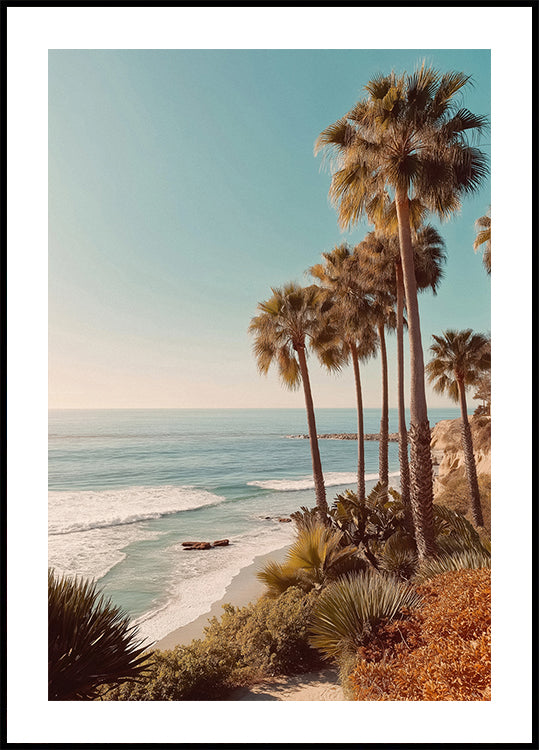 Palm Trees with Blue Sky Poster