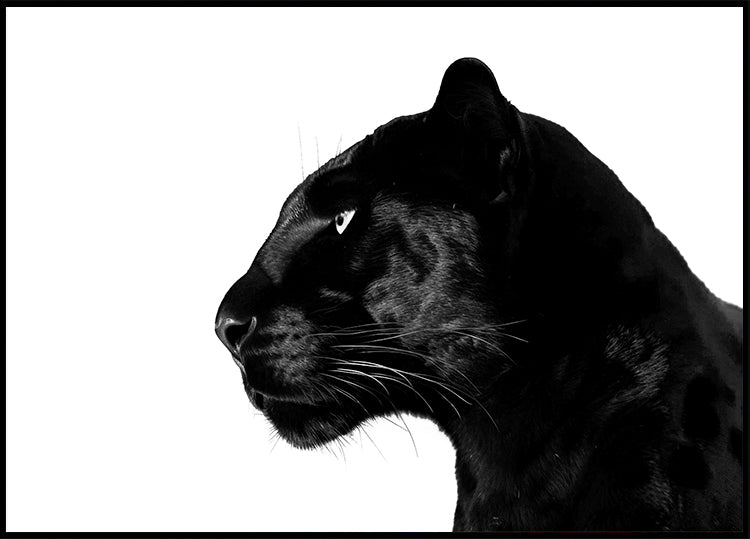 Black Panther Profile Poster