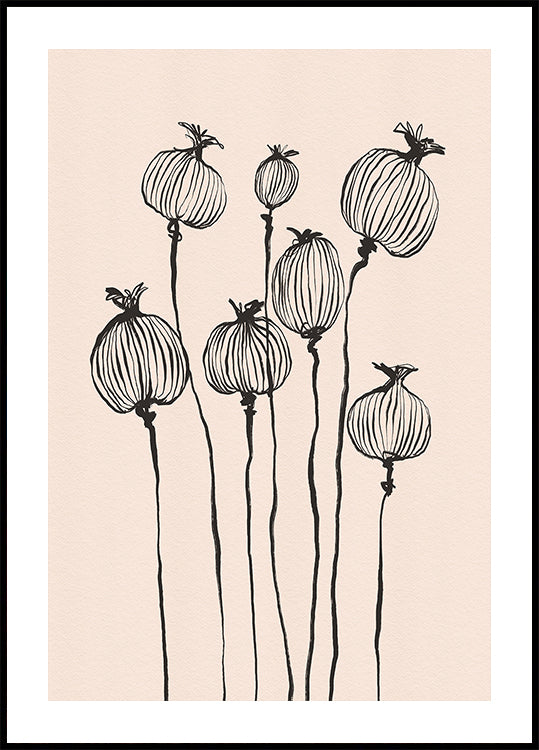 Poppy Pods Poster