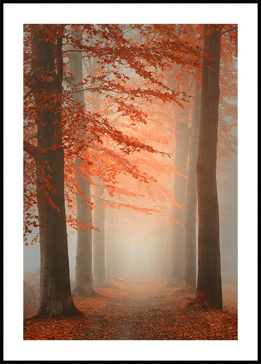Autumn Dream Poster