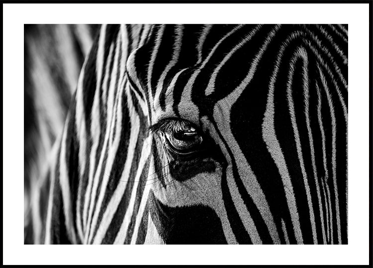 Abstract Zebra Poster