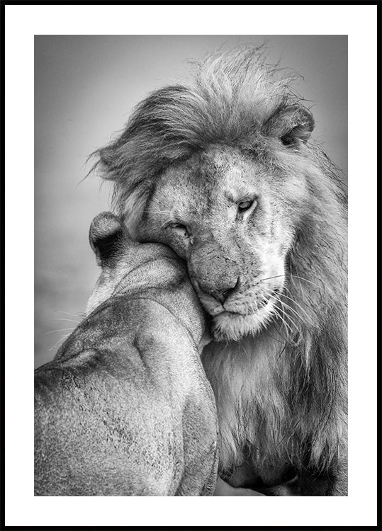 African Love!