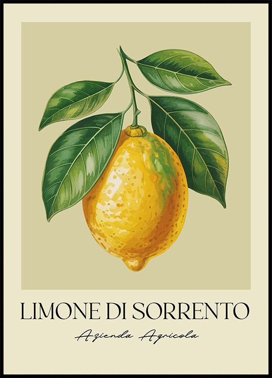 Limone Di Sorrento Poster