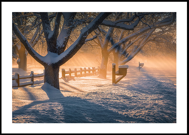 After Snow Storm Poster
