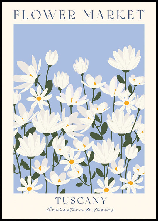 Flower Market, Tuscany daisy field Poster
