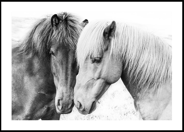 Horse Love Poster