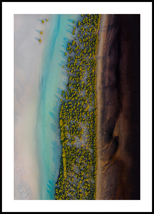 Mangrove Symphony Poster