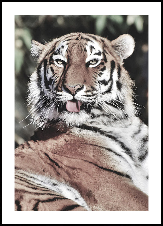 Majestic Tiger Poster