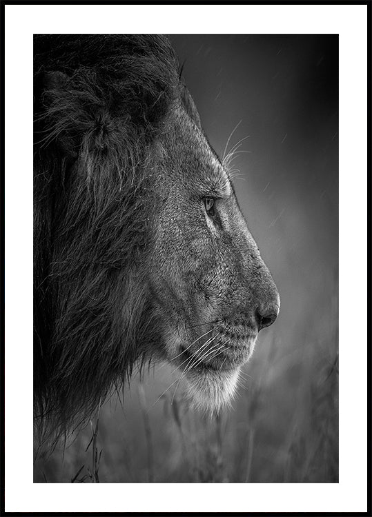 Thinking Under The Rain