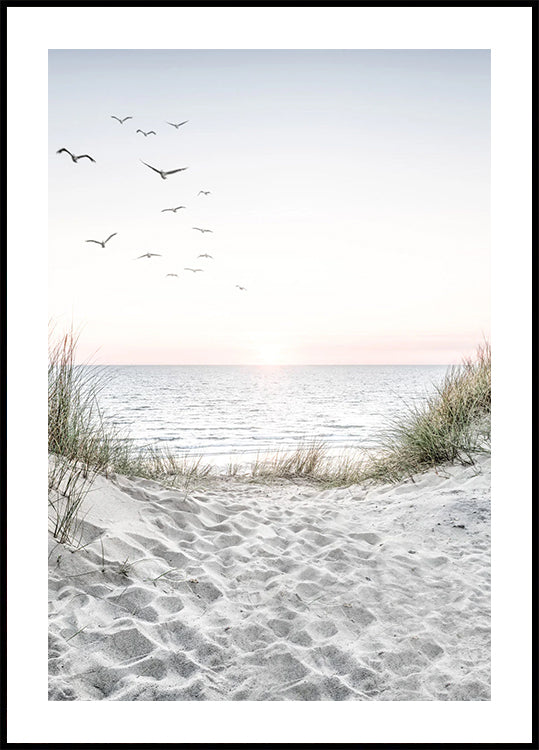 Seagulls and Sandy Beach Poster