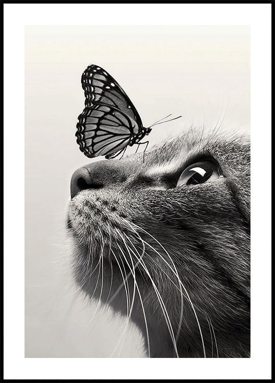 Butterfly Cat Poster