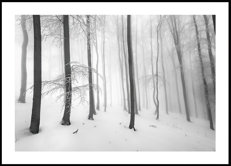 Silence of the forest Poster