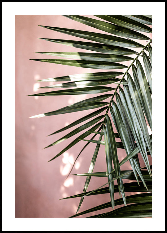 Palm Leaves 23 Poster