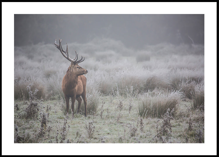 Prideful. deer . Poster