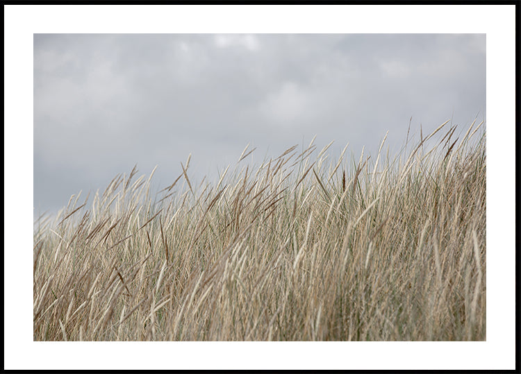 Dunes and Clouds