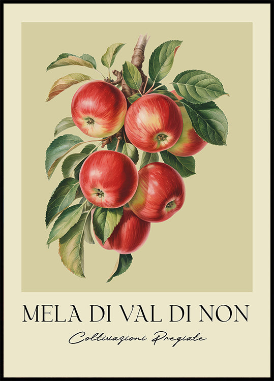 Mela Di Val Di Non Poster