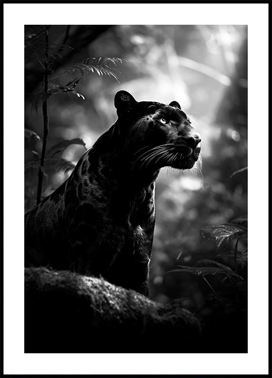 Majestic Black Panther Poster