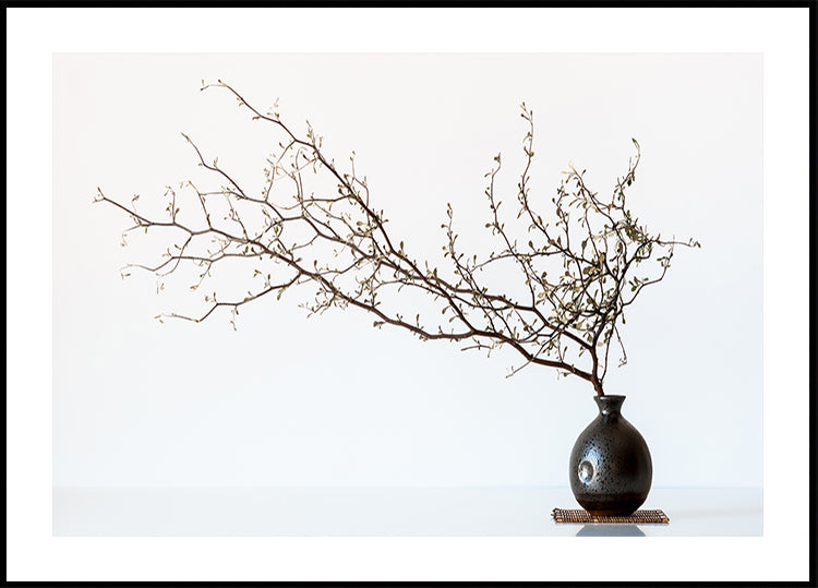 Vase And Branch