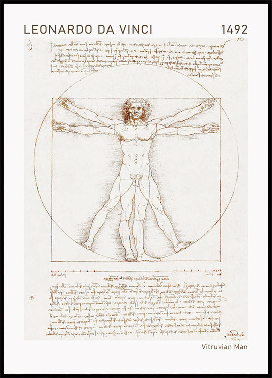 Leonardo da Vinci, Vitruvian Man Poster
