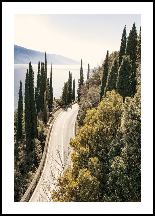 Road Along Lake Garda Poster