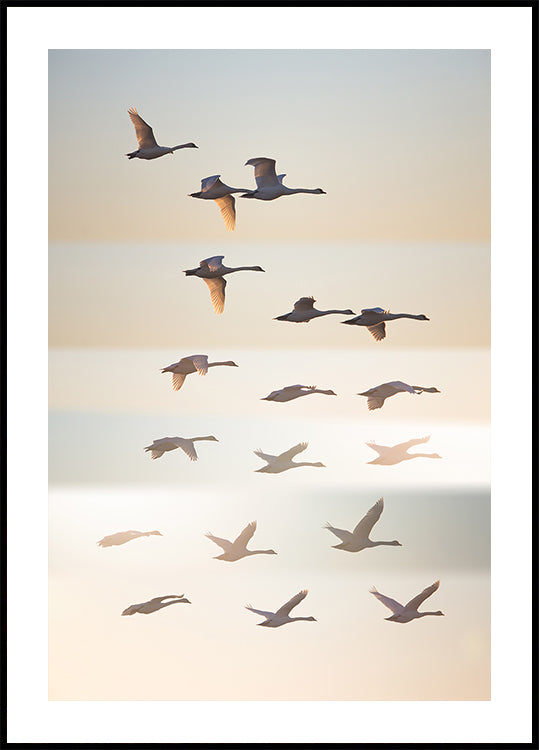 Past the sun.  Poster