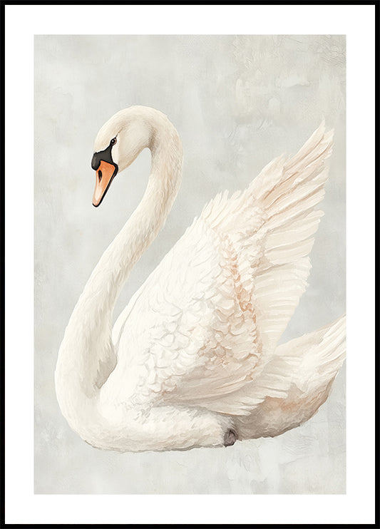 Elegant White Swan Poster